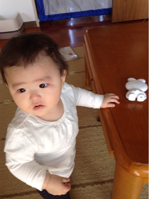 f:id:vannie:20141105213532j:plain f:id:vannie:20141105213532j:plain