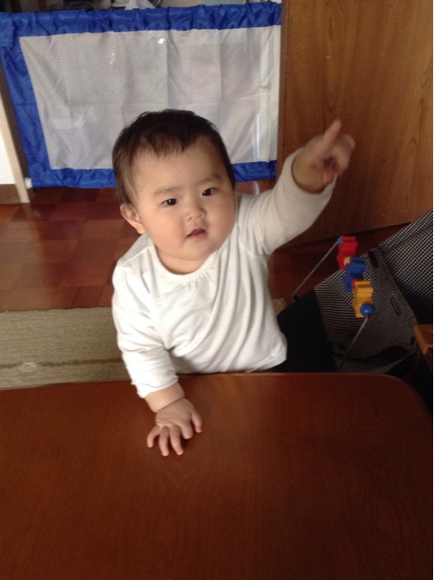 f:id:vannie:20141111115656j:plain f:id:vannie:20141111115656j:plain