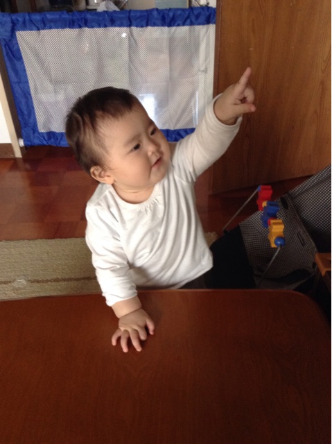 f:id:vannie:20141111115728j:plain f:id:vannie:20141111115728j:plain