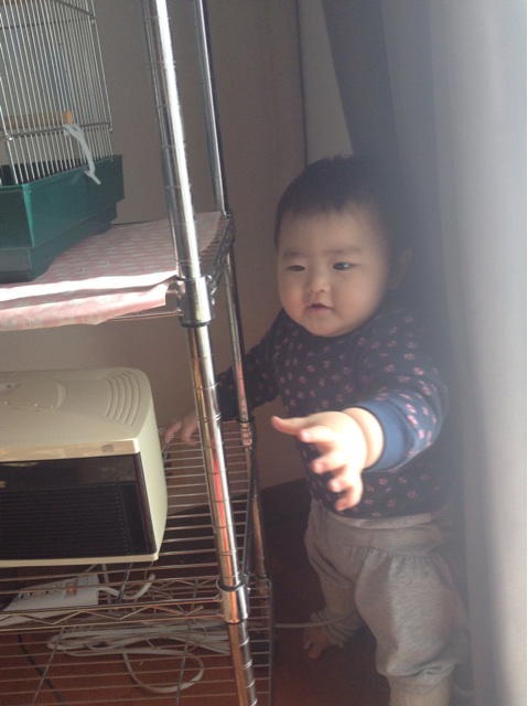 f:id:vannie:20141119222108j:plain f:id:vannie:20141119222108j:plain