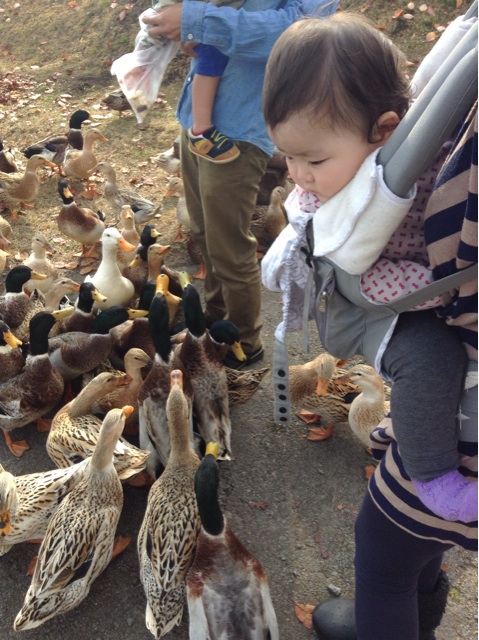 f:id:vannie:20141124221803j:plain f:id:vannie:20141124221803j:plain