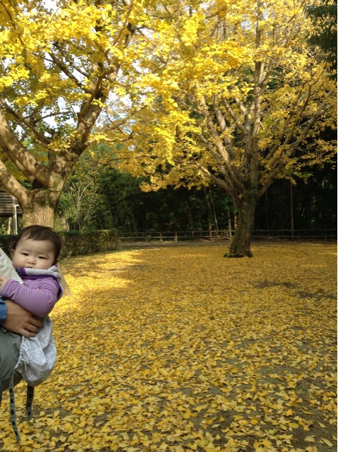 f:id:vannie:20141125210613j:plain f:id:vannie:20141125210613j:plain