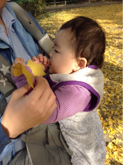 f:id:vannie:20141125210627j:plain f:id:vannie:20141125210627j:plain