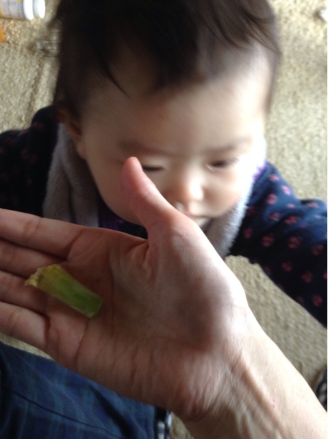 f:id:vannie:20141203213532j:plain f:id:vannie:20141203213532j:plain