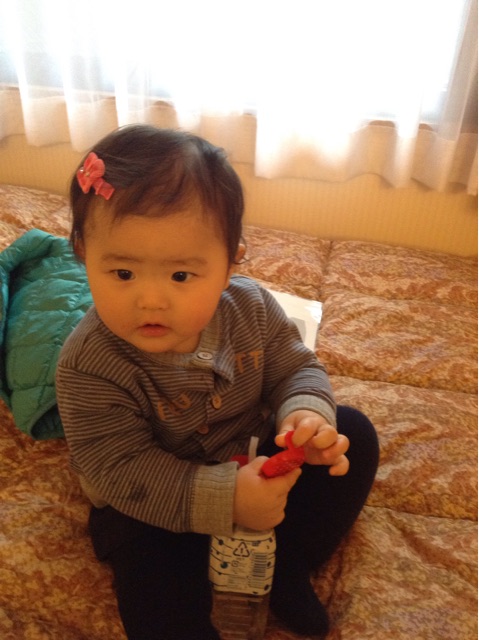 f:id:vannie:20141220222619j:plain f:id:vannie:20141220222619j:plain