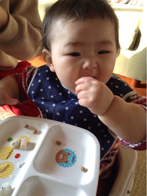 f:id:vannie:20141229221843j:plain f:id:vannie:20141229221843j:plain