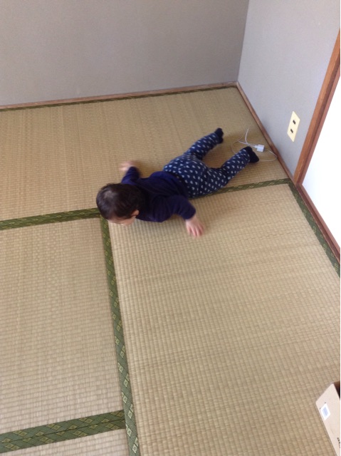f:id:vannie:20150108210629j:plain f:id:vannie:20150108210629j:plain