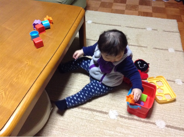 f:id:vannie:20150114204952j:plain f:id:vannie:20150114204952j:plain