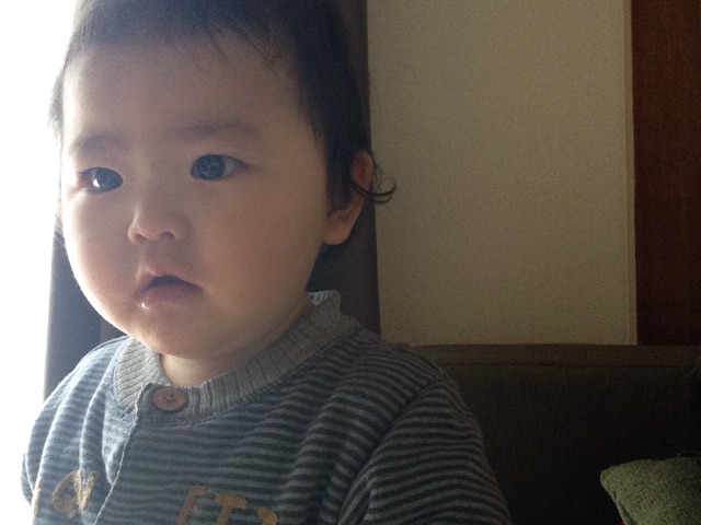 f:id:vannie:20150114205813j:plain f:id:vannie:20150114205813j:plain