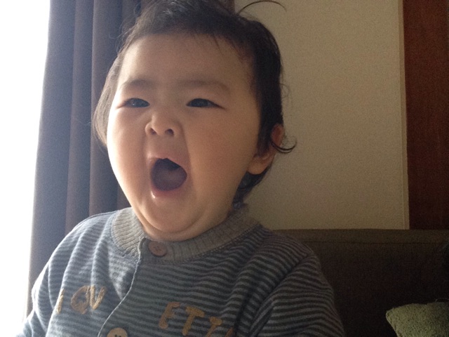f:id:vannie:20150114210415j:plain f:id:vannie:20150114210415j:plain