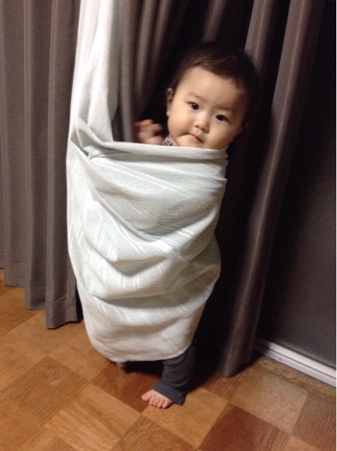 f:id:vannie:20150117231625j:plain f:id:vannie:20150117231625j:plain