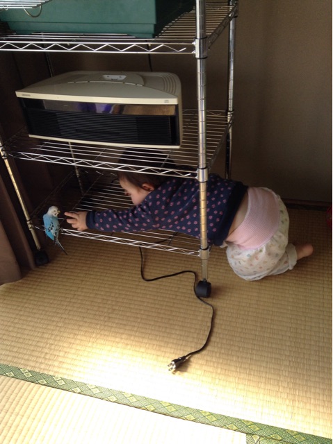 f:id:vannie:20150121221603j:plain f:id:vannie:20150121221603j:plain