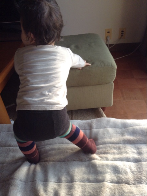 f:id:vannie:20150121222231j:plain f:id:vannie:20150121222231j:plain