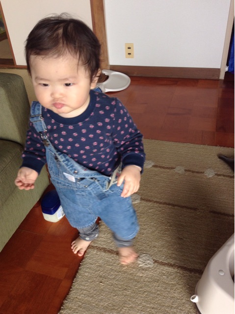 f:id:vannie:20150124212643j:plain f:id:vannie:20150124212643j:plain