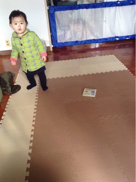 f:id:vannie:20150202205509j:plain f:id:vannie:20150202205509j:plain