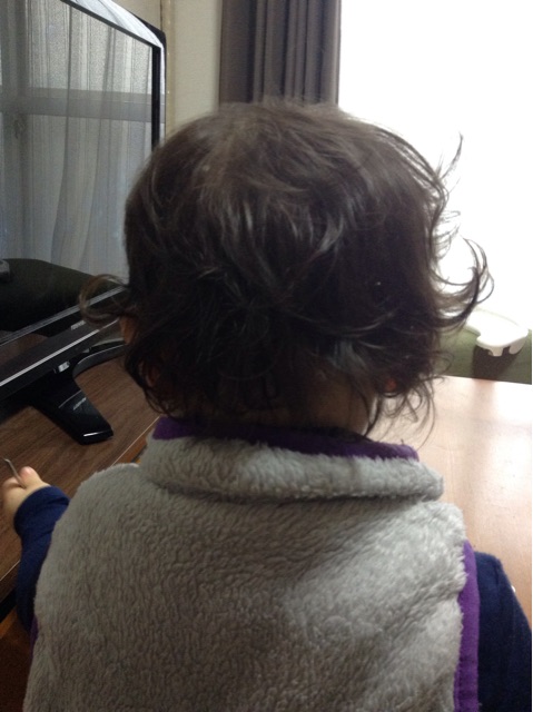 f:id:vannie:20150216202119j:plain f:id:vannie:20150216202119j:plain