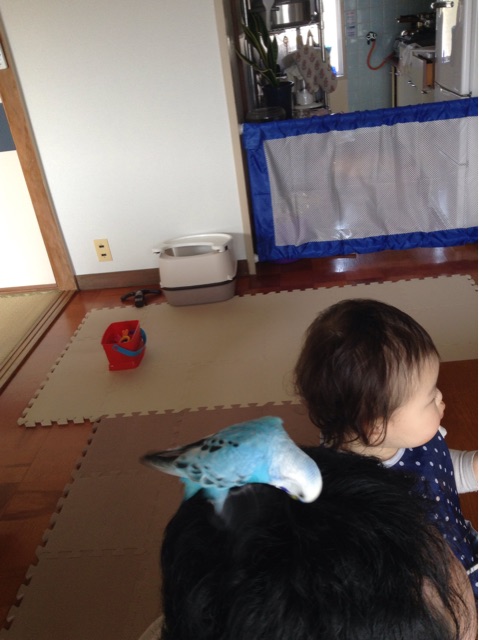 f:id:vannie:20150228201252j:plain f:id:vannie:20150228201252j:plain