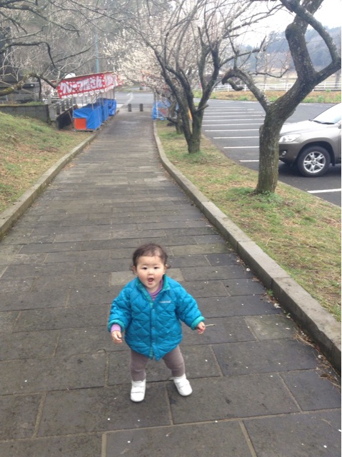 f:id:vannie:20150307201417j:plain f:id:vannie:20150307201417j:plain
