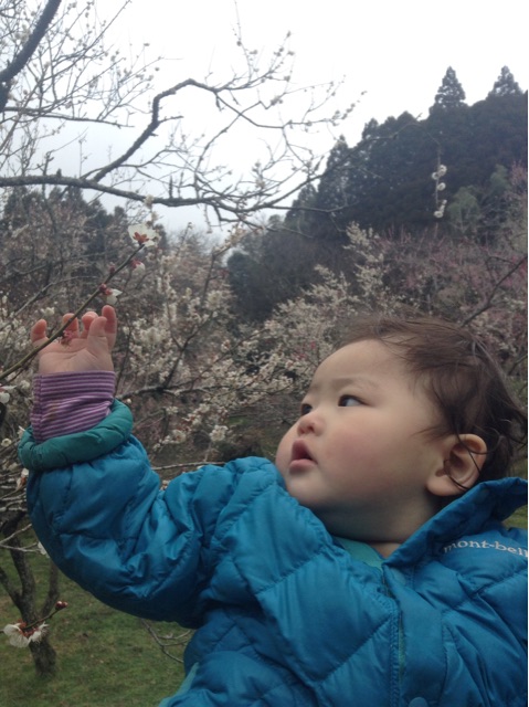 f:id:vannie:20150307201434j:plain f:id:vannie:20150307201434j:plain