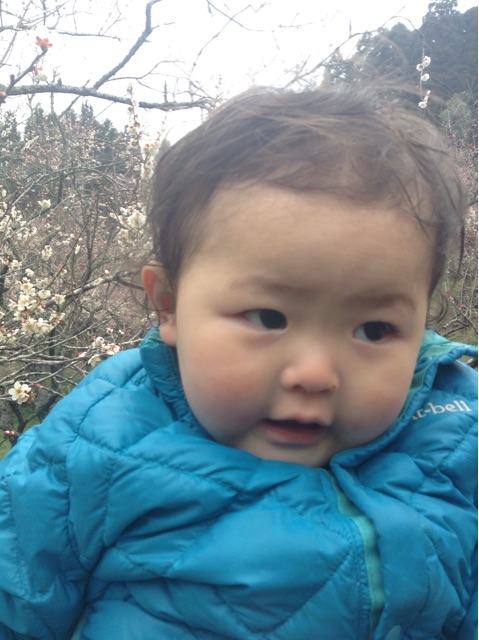 f:id:vannie:20150307201446j:plain f:id:vannie:20150307201446j:plain