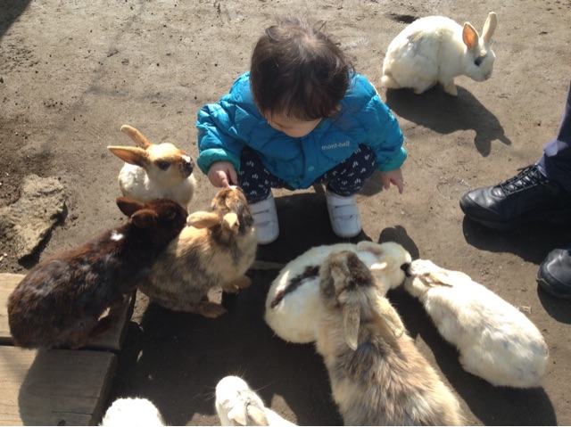 f:id:vannie:20150309211324j:plain f:id:vannie:20150309211324j:plain