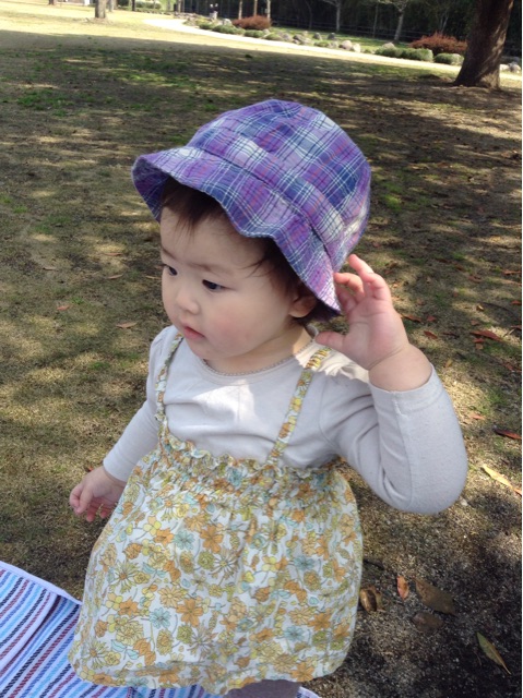 f:id:vannie:20150324201814j:plain f:id:vannie:20150324201814j:plain