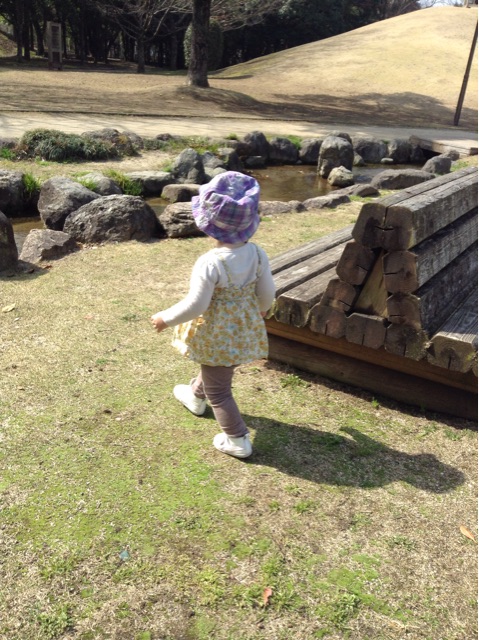 f:id:vannie:20150324202018j:plain f:id:vannie:20150324202018j:plain