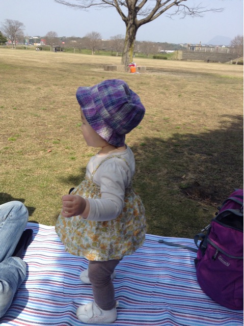 f:id:vannie:20150324202339j:plain f:id:vannie:20150324202339j:plain