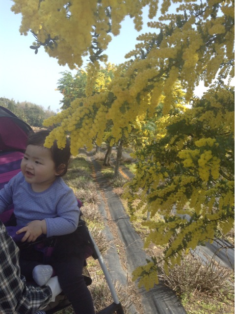 f:id:vannie:20150331205814j:plain f:id:vannie:20150331205814j:plain