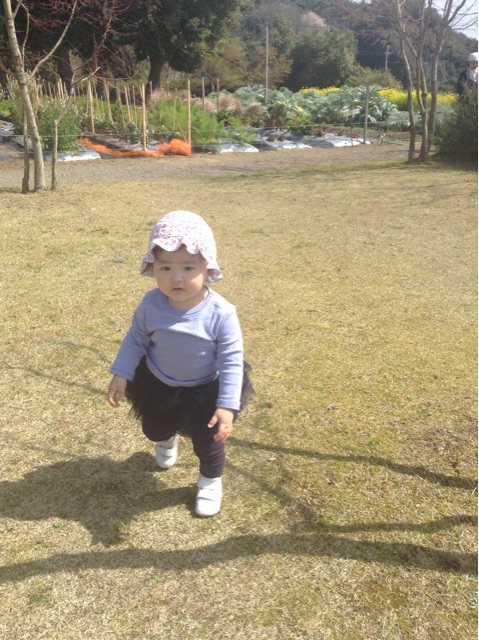 f:id:vannie:20150331205926j:plain f:id:vannie:20150331205926j:plain
