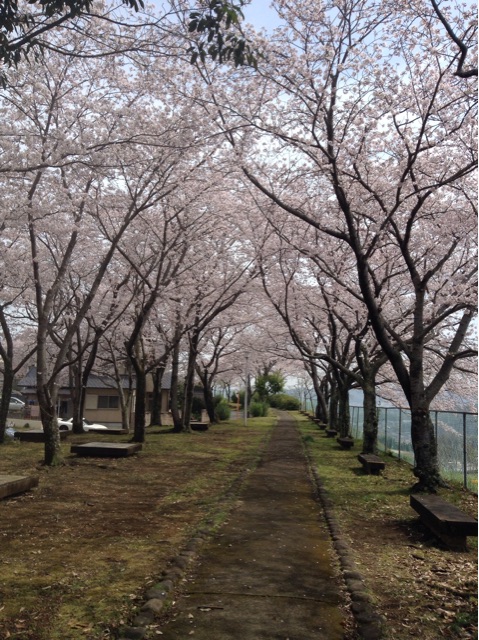 f:id:vannie:20150401200844j:plain f:id:vannie:20150401200844j:plain
