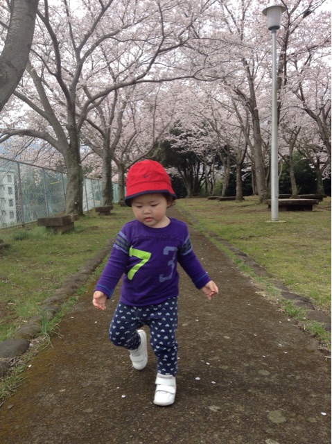f:id:vannie:20150401200921j:plain f:id:vannie:20150401200921j:plain