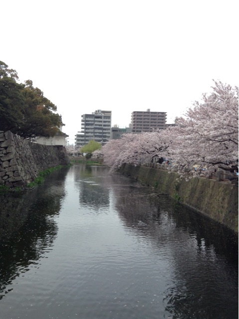f:id:vannie:20150403210618j:plain f:id:vannie:20150403210618j:plain