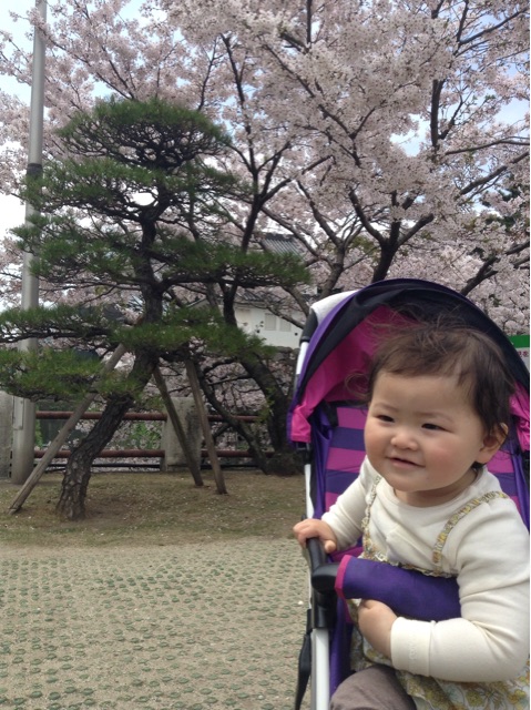 f:id:vannie:20150403210805j:plain f:id:vannie:20150403210805j:plain