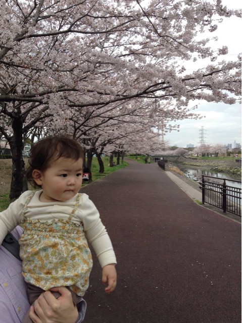 f:id:vannie:20150403211144j:plain f:id:vannie:20150403211144j:plain