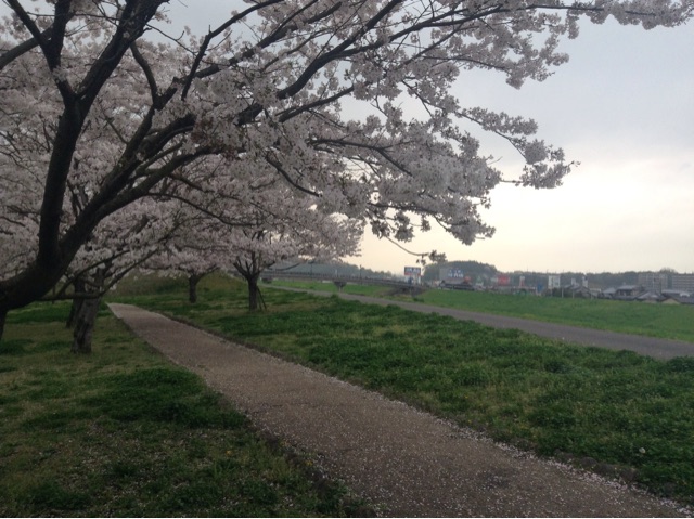 f:id:vannie:20150405201452j:plain f:id:vannie:20150405201452j:plain