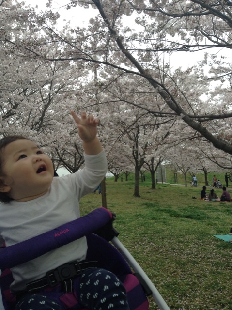 f:id:vannie:20150405201547j:plain f:id:vannie:20150405201547j:plain