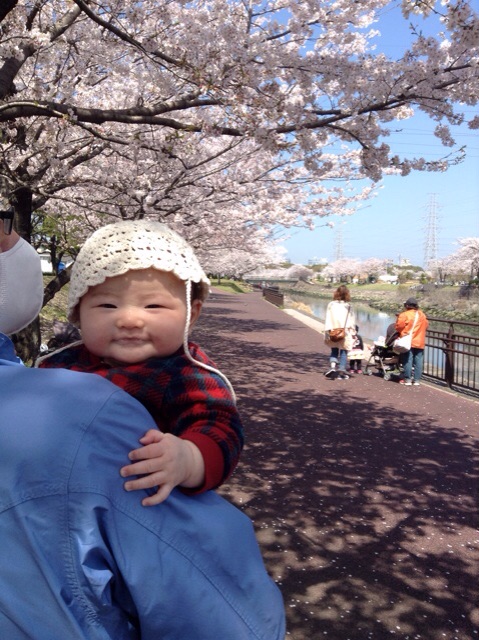 f:id:vannie:20150407230050j:plain f:id:vannie:20150407230050j:plain