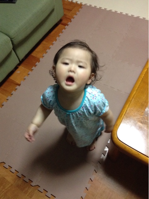 f:id:vannie:20150408210801j:plain f:id:vannie:20150408210801j:plain