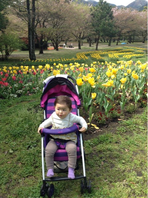 f:id:vannie:20150412210517j:plain f:id:vannie:20150412210517j:plain