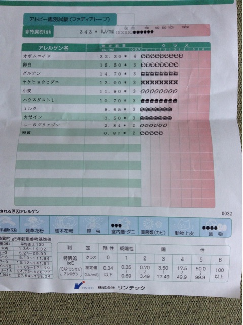 f:id:vannie:20150418203846j:plain f:id:vannie:20150418203846j:plain