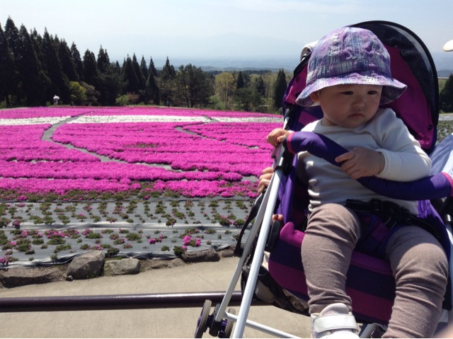 f:id:vannie:20150425212147j:plain f:id:vannie:20150425212147j:plain