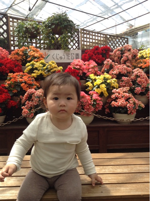 f:id:vannie:20150425212322j:plain f:id:vannie:20150425212322j:plain