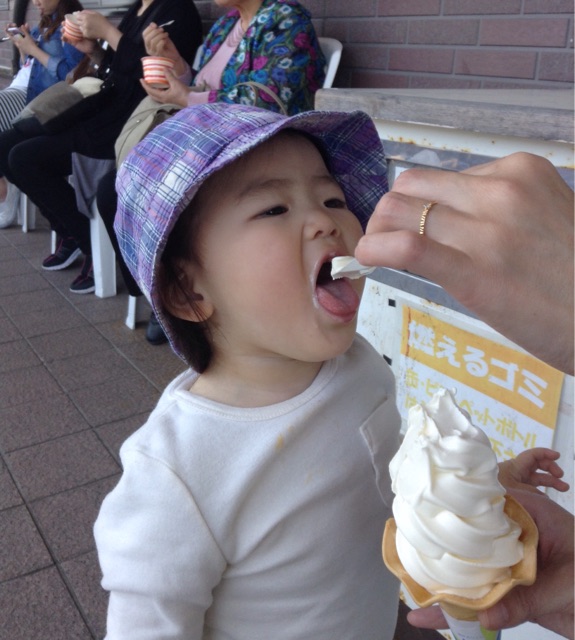 f:id:vannie:20150425213313j:plain f:id:vannie:20150425213313j:plain