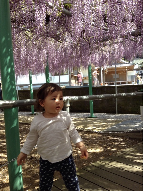 f:id:vannie:20150426203830j:plain f:id:vannie:20150426203830j:plain