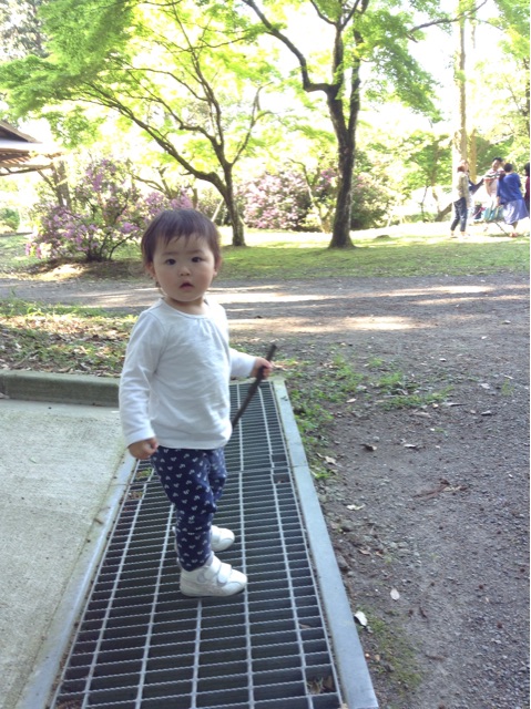 f:id:vannie:20150426214849j:plain f:id:vannie:20150426214849j:plain