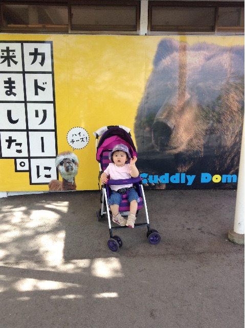 f:id:vannie:20150512205353j:image f:id:vannie:20150512205353j:image