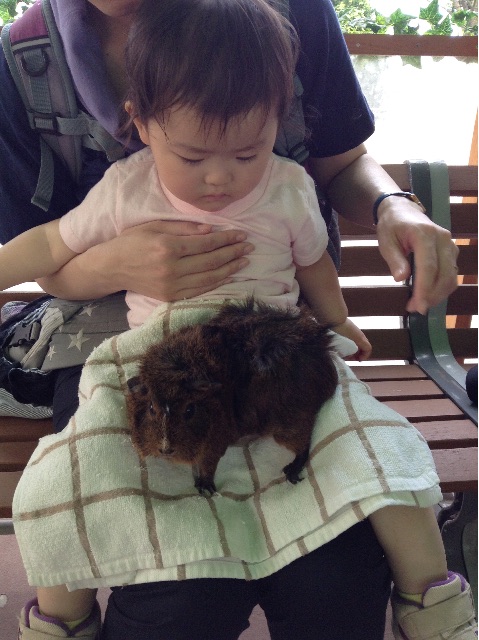 f:id:vannie:20150512210123j:image f:id:vannie:20150512210123j:image
