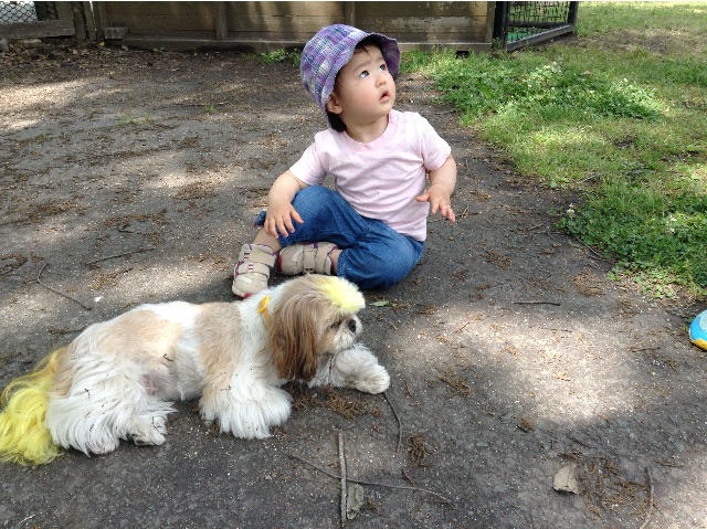 f:id:vannie:20150512210451j:image f:id:vannie:20150512210451j:image