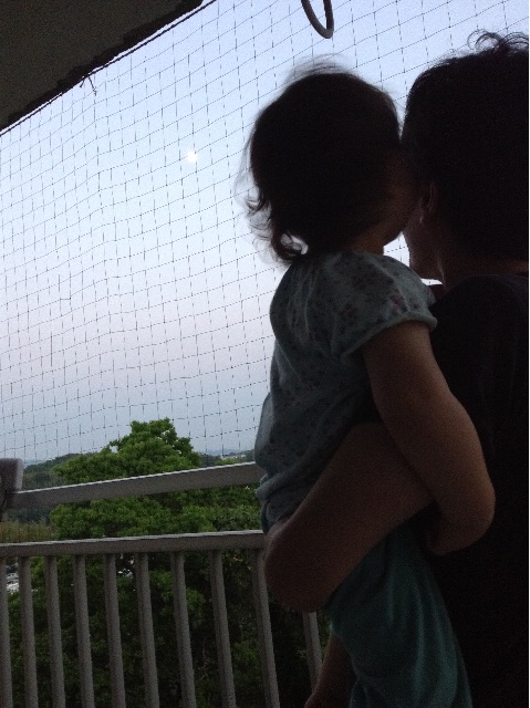 f:id:vannie:20150531210454j:image f:id:vannie:20150531210454j:image